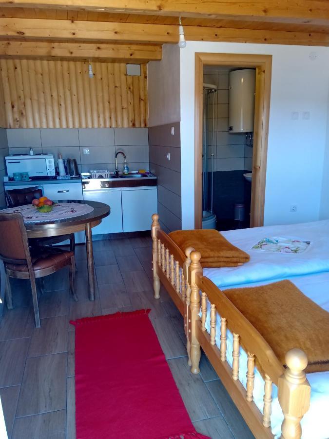 זבליאק Studio Apartment Pitomine מראה חיצוני תמונה